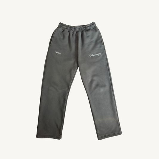 TRACKPANTS V1
